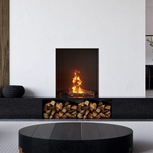 De Element4 Sky Small Front Bio biedt moderne bio-ethanol verwarming, sfeervolle vlammen en een minimalistisch ontwerp voor elke ruimte.